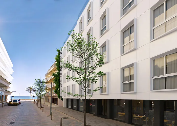 Senator Готель